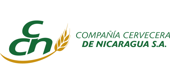 CCN LOGO